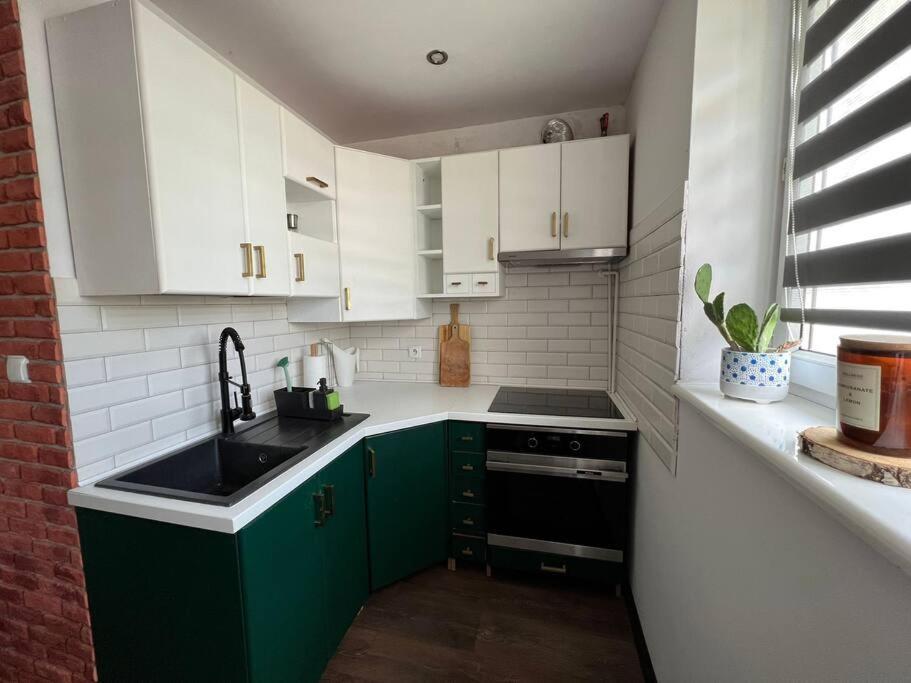 פולניסה-ז'דוז' Apartament Loft מראה חיצוני תמונה